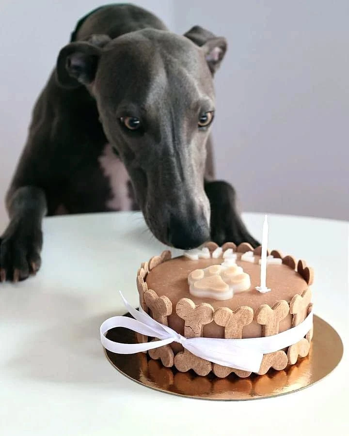 Торт круглый фото 2