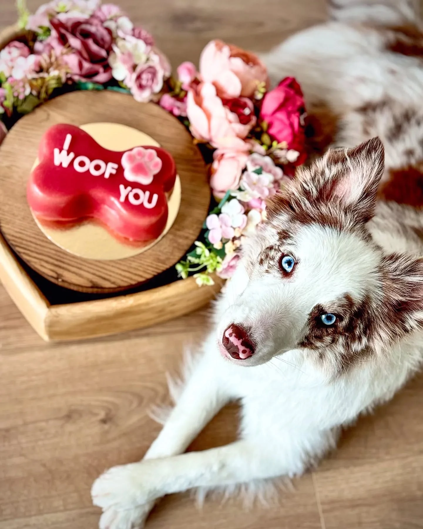 Торт косточка фото 1