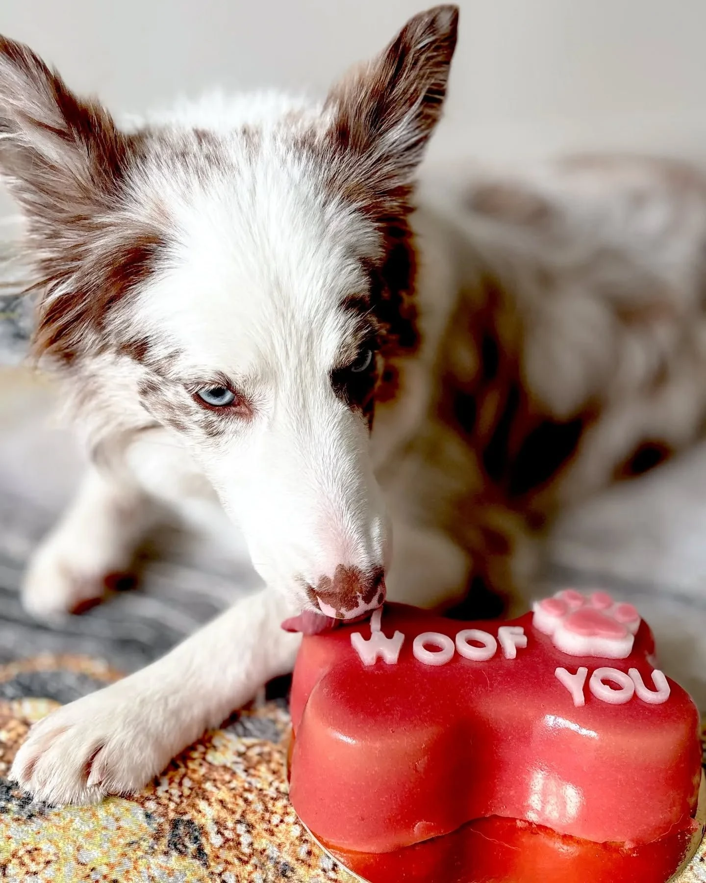 Торт косточка фото 3