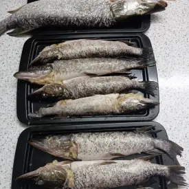 Щука фаршированная по-королевски