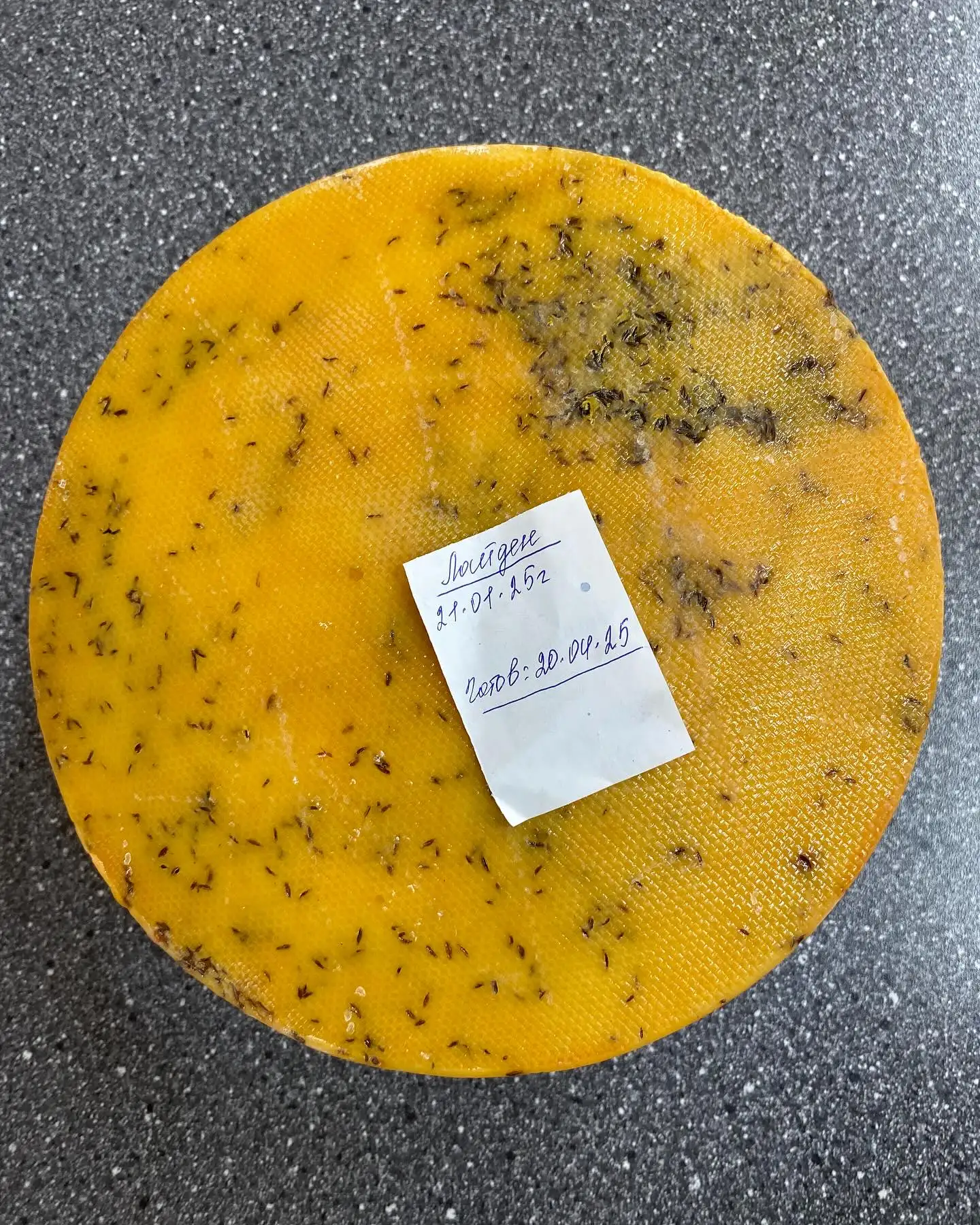 Сыр «Лайден с тмином» фото 2