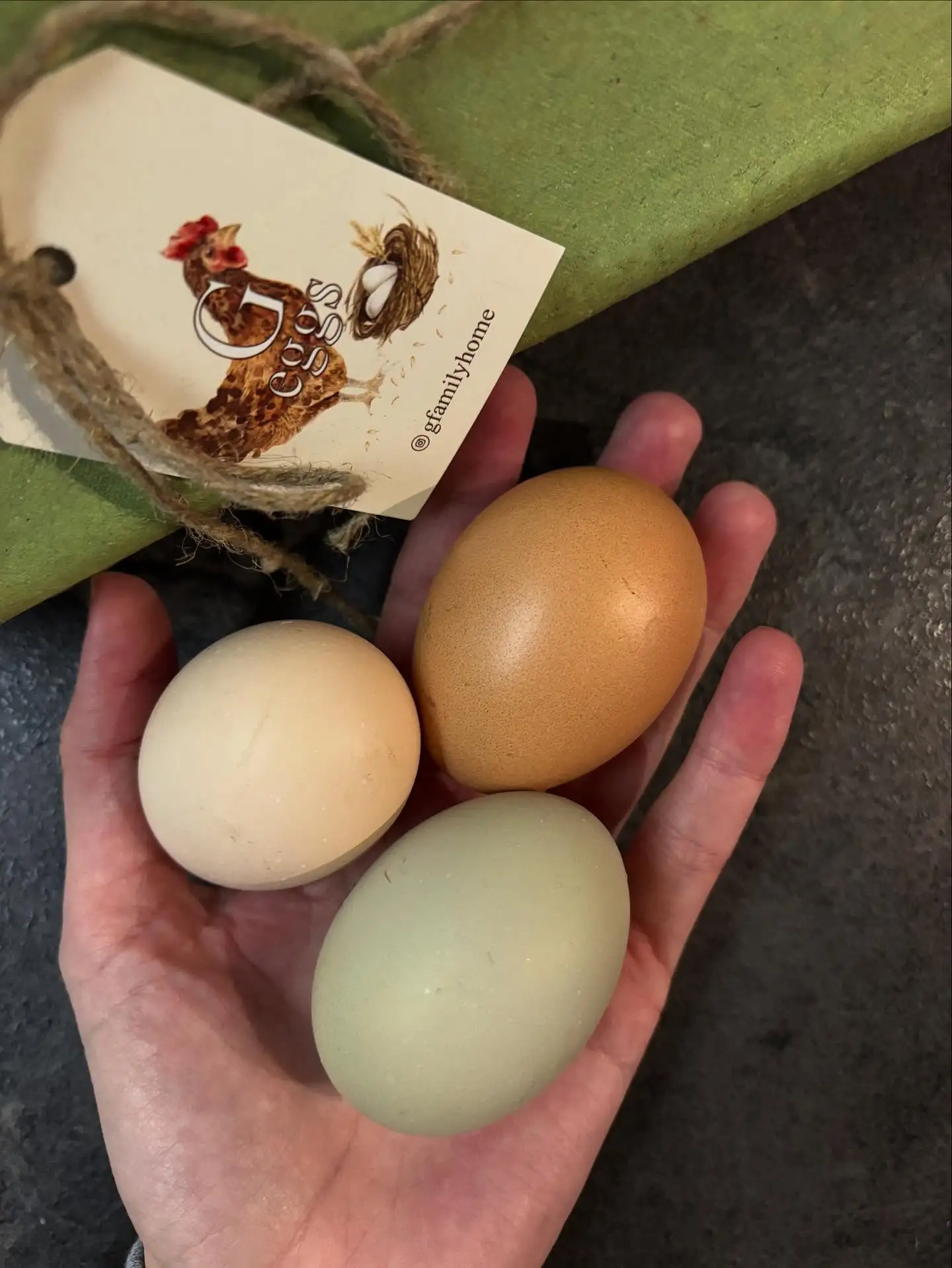 Куриные домашние яйца фото 6