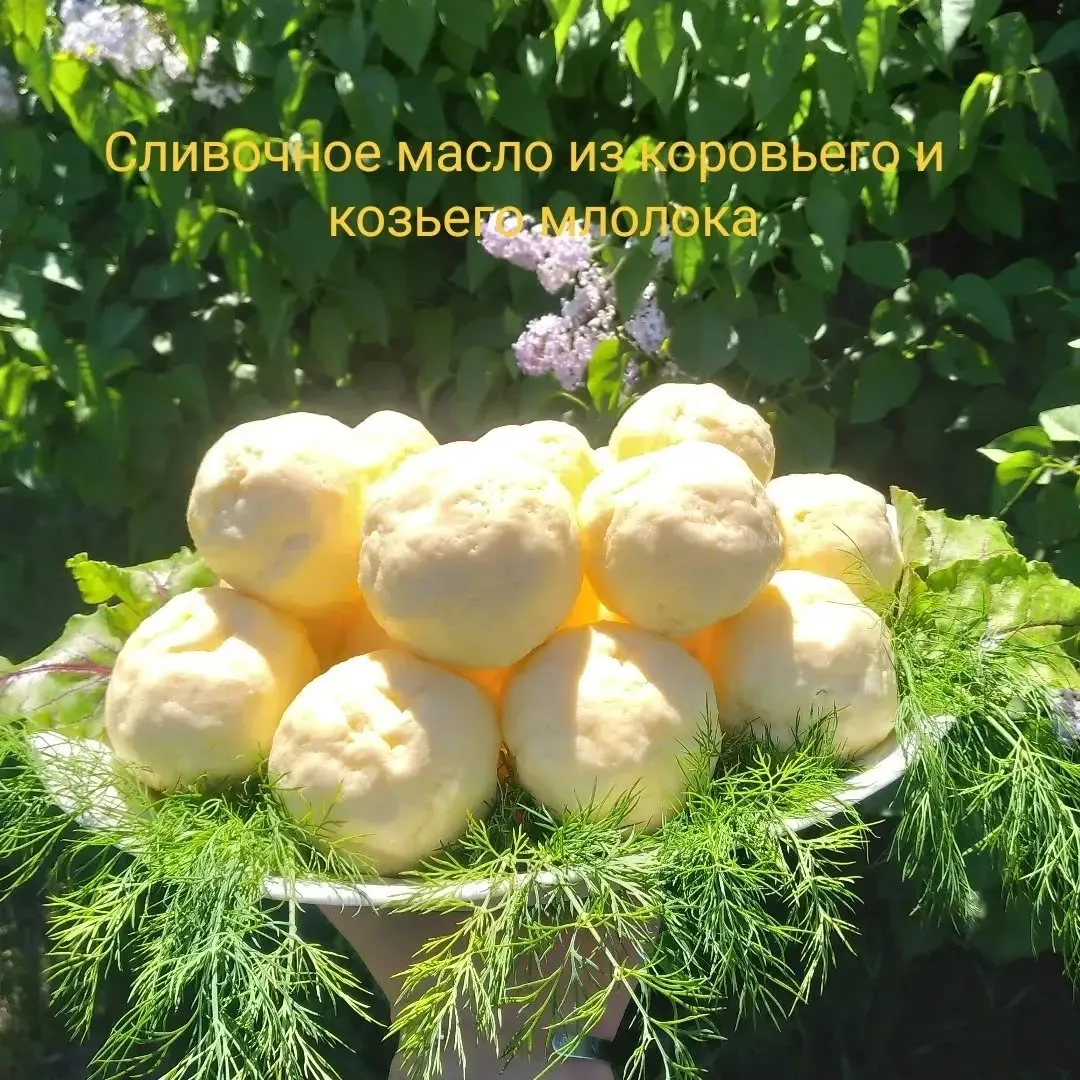 Масло из козьего молока