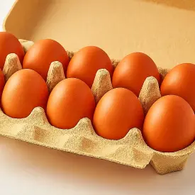 Яйца куриные СВ