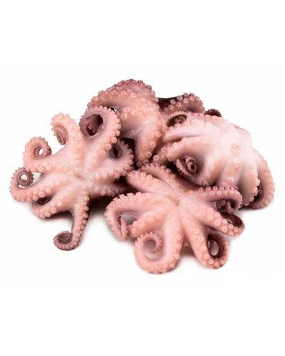 Осьминоги молодые 40/60