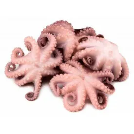 Осьминоги молодые 40/60