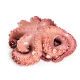 Осьминог 1–2