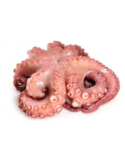 Осьминог 1–2