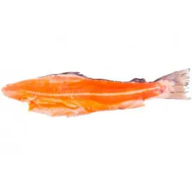 Хребты форели