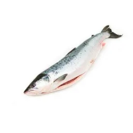 Сёмга (лосось) охлажденная, ПБГ 5–6