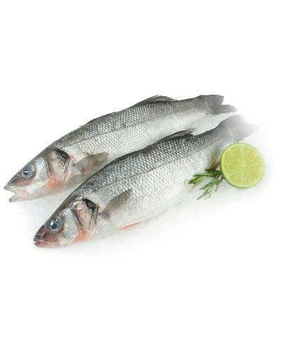 Сибас 400–600, н/р