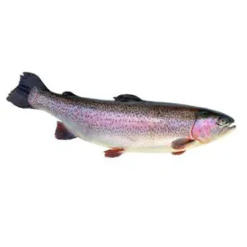 Форель 900+, н/р