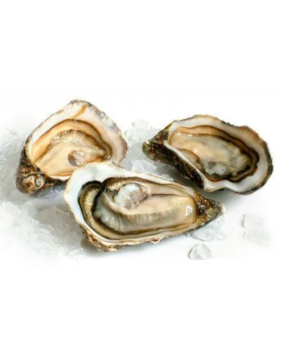 Устрицы