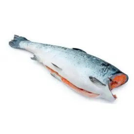 Форель 0,9–1,4, ПБГ