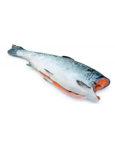 Форель 0,9–1,4, ПБГ