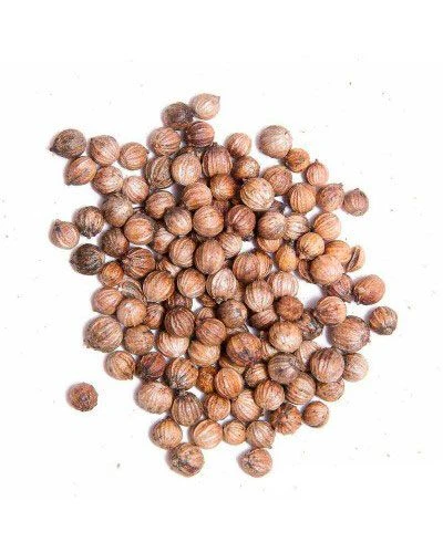 Кориандр целый, 100 г