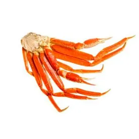 Краб шипастый, конечности 2L