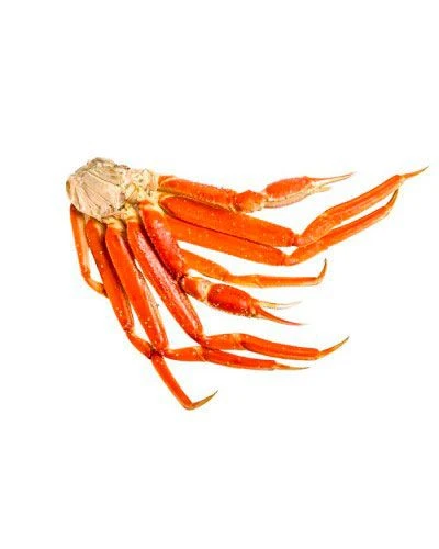 Краб шипастый, конечности 2L