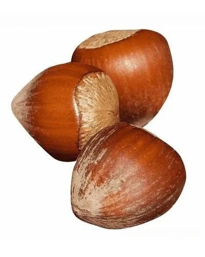 Фундук в скорлупе, 1 кг