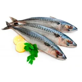 Скумбрия слабосоленая