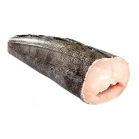 Клыкач патагонский 6–8