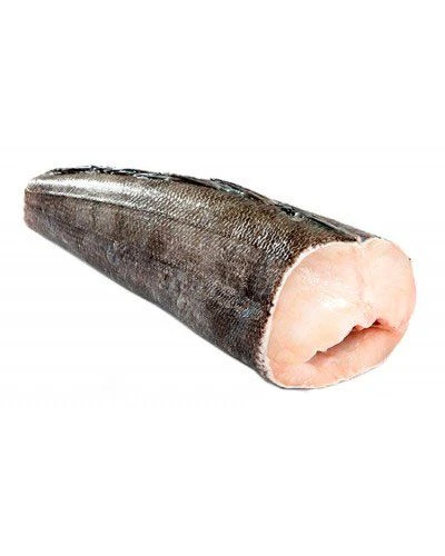 Клыкач патагонский 6–8