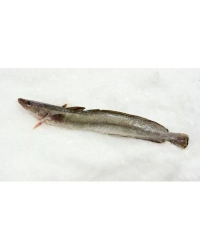 Мольва (морская щука), стейк