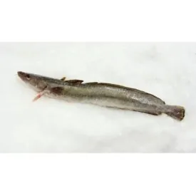 Мольва (морская щука), стейк