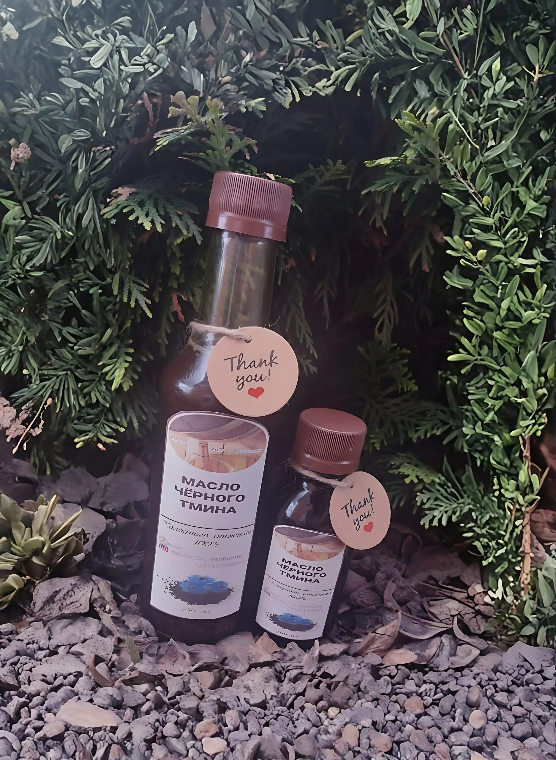 Масло чёрного тмина