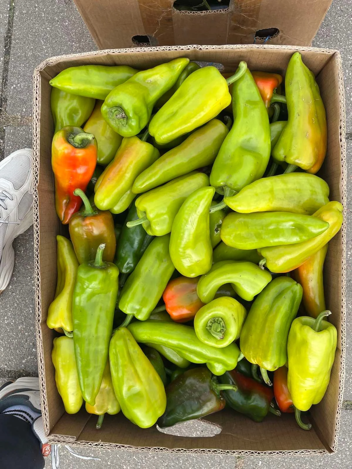 Перец зеленый, 1 кг