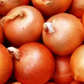 Лук