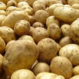 Картофель