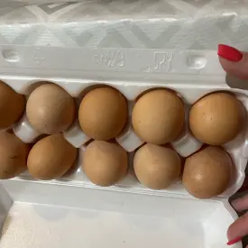 Домашние яйца