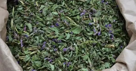 Травы успокаивающие фото 2