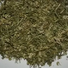 Тысячелистник в составе разнотравья