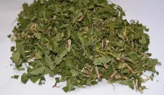 Разнотравье фото 3