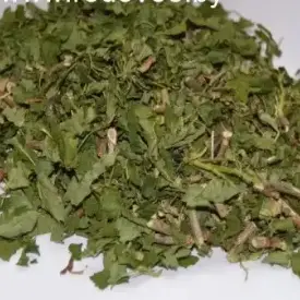 Листья смородины