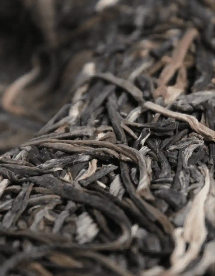 Шен Пуэр Зелёная Печать фото 3