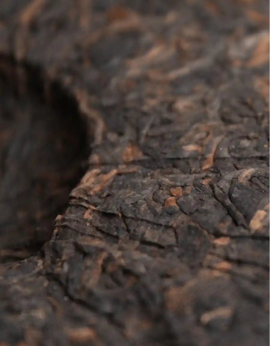 Юн Чжень Да Шу «Чистый Вкус» фото 3