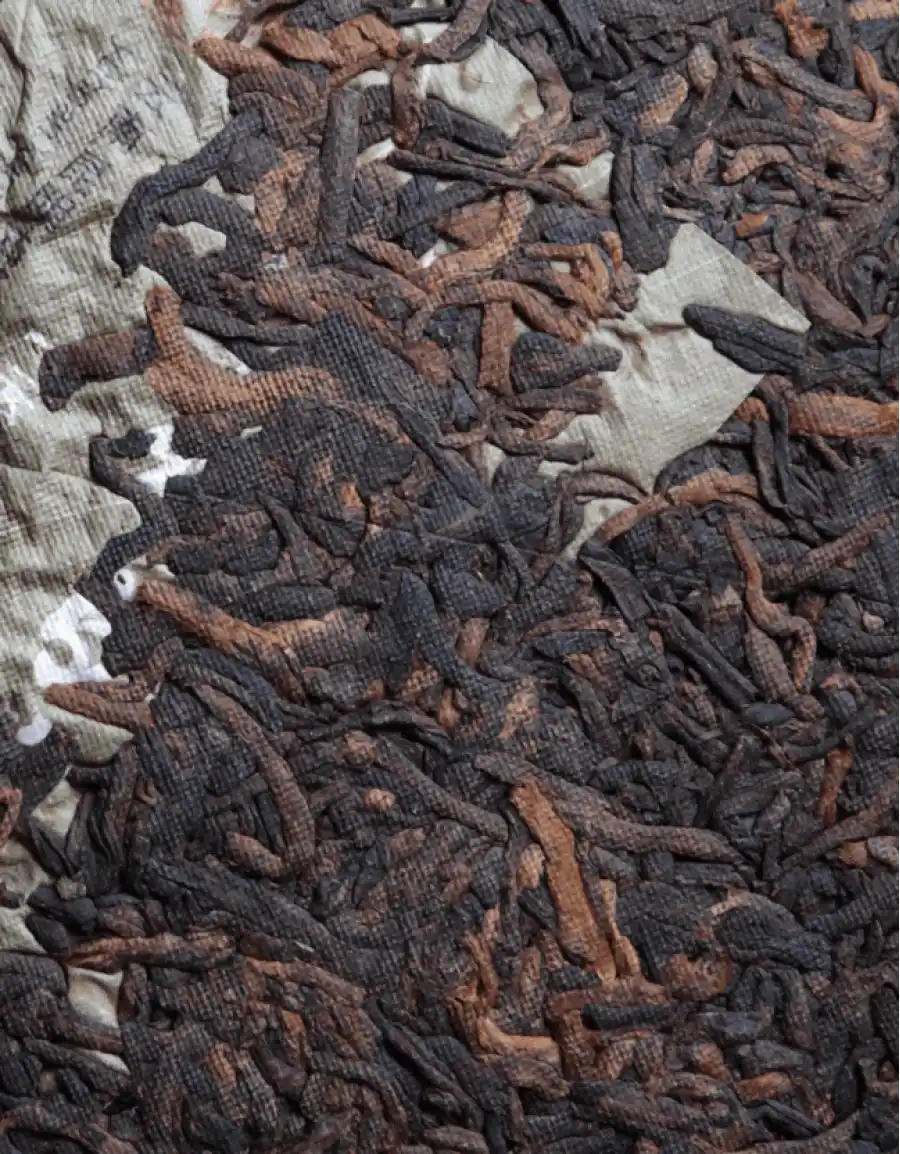 Шу Пуэр Цзинь Чжень Бай Лянь «Золотая Игла Белого Лотоса» фото 4