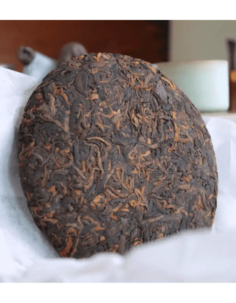 Шу Пуэр Бермуды №1 фото 3