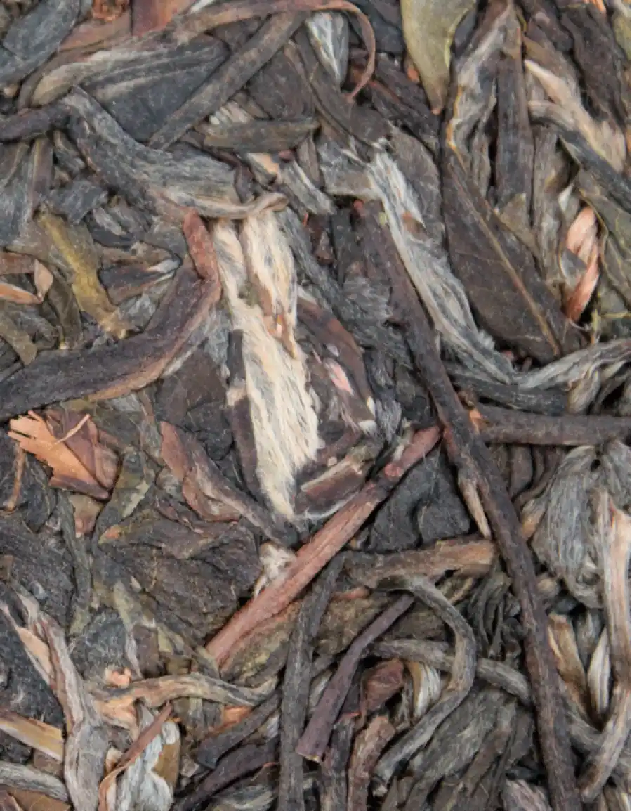 Шен Пуэр Огонь Феникса фото 3