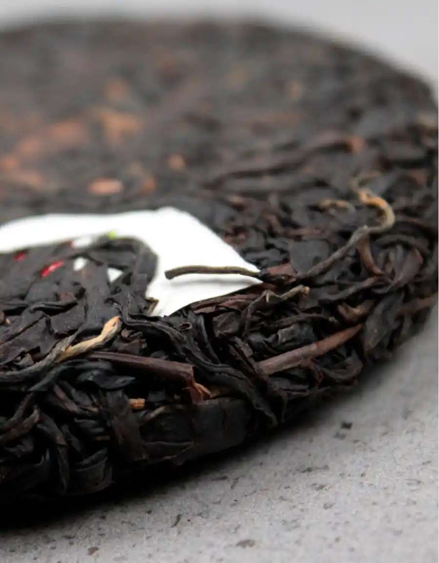 «Красная Габа» фото 3