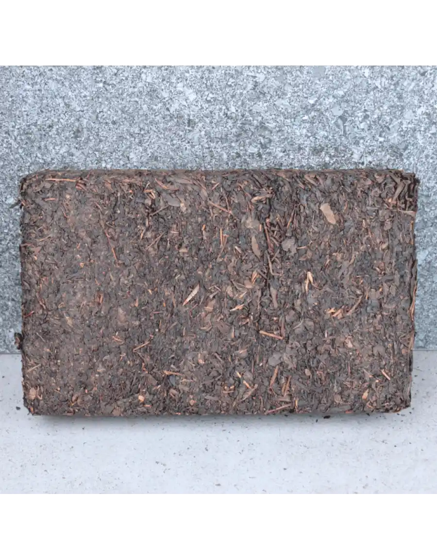 «Аньхуа Хэй Ча» фото 2