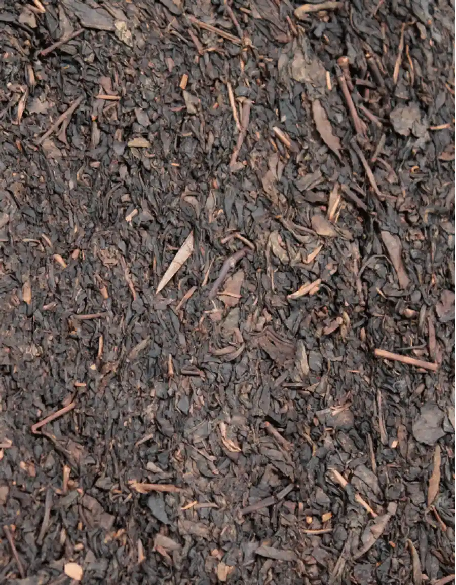 «Аньхуа Хэй Ча» фото 4