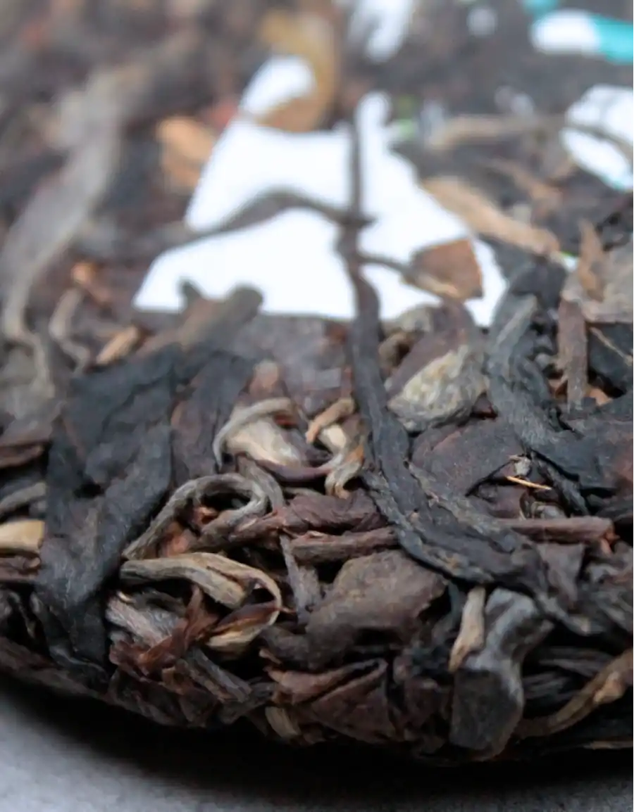 «Синяя Габа» фото 3