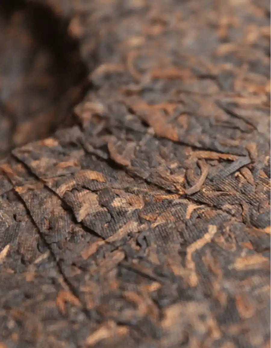 Шу Пуэр Золотой Дракон фото 4