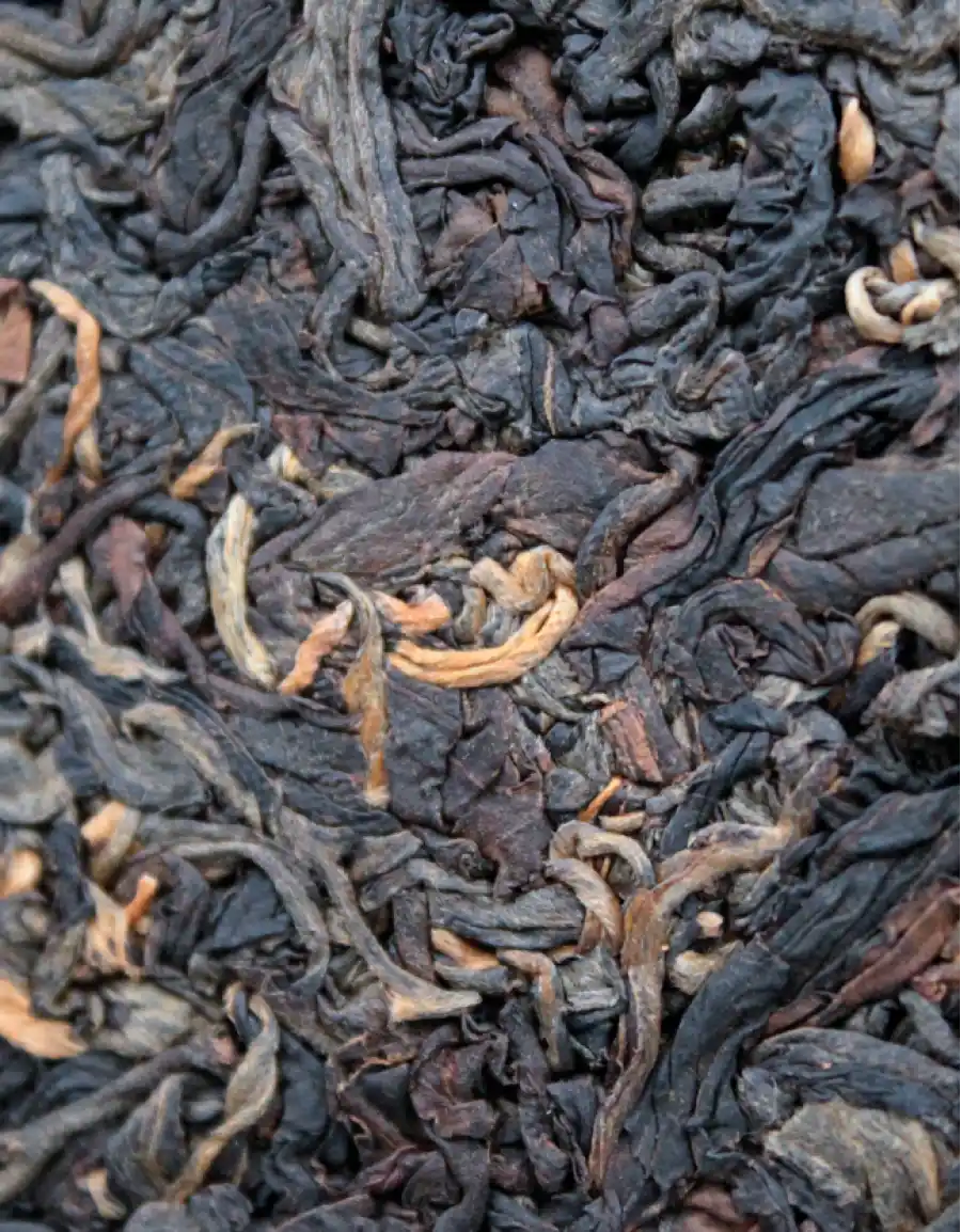 «Габа Шу Пуэр» фото 3