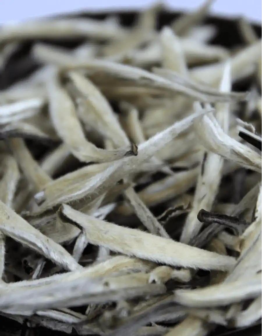 «Бай Хао Инь Чжень» фото 2