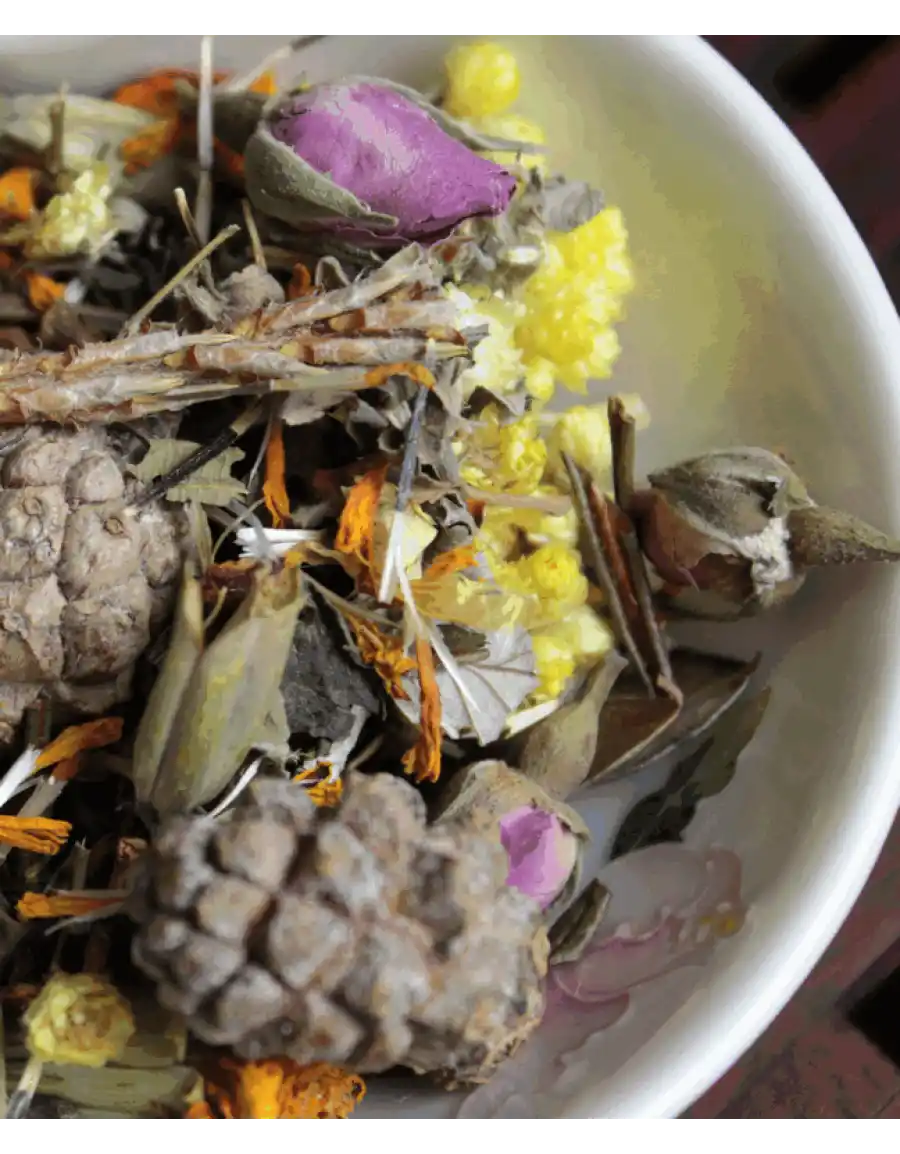 Травяной сбор «Вечная Молодость» фото 3